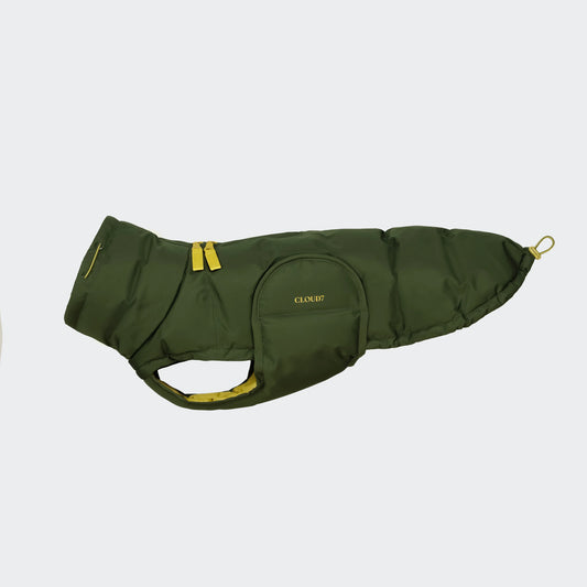 Dackelmantel Winter Alaska PRO Olive