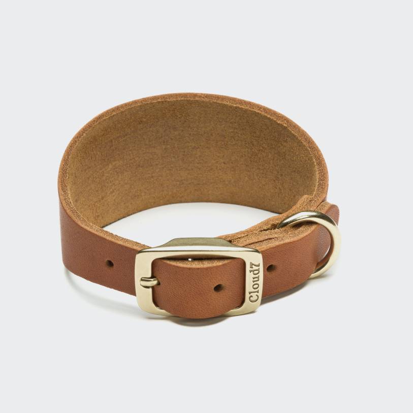 Windhundhalsband Regent Park Camel Gold